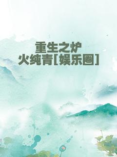 重生之炉火纯青[娱乐圈]