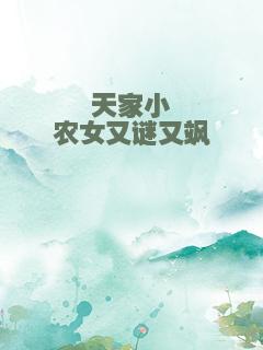 天家小农女又谜又飒
