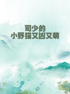 司少的小野猫又凶又萌