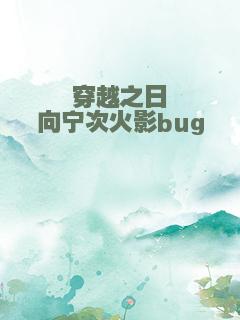穿越之日向宁次火影bug