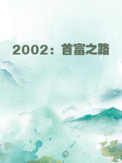 2002：首富之路