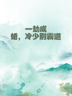 一劫成婚，冷少别霸道