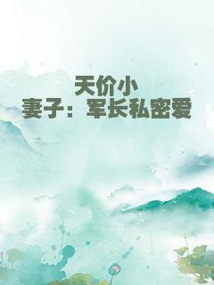 天价小妻子：军长私密爱