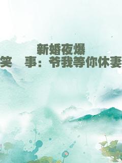 新婚夜爆笑囧事：爷我等你休妻