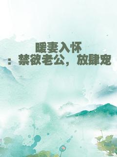 暖妻入怀：禁欲老公，放肆宠