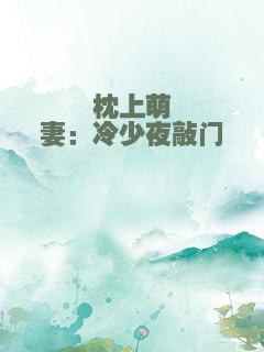 枕上萌妻：冷少夜敲门