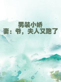 男装小娇妻：爷，夫人又跑了