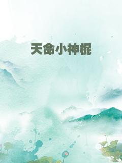 天命小神棍