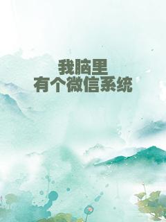 我脑里有个微信系统