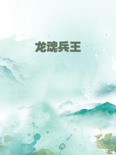 龙魂兵王
