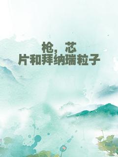 枪，芯片和拜纳瑞粒子