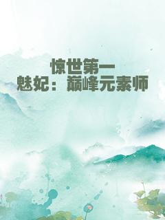 惊世第一魅妃：巅峰元素师