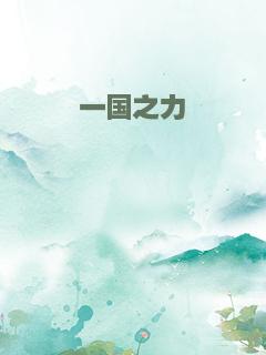 一国之力