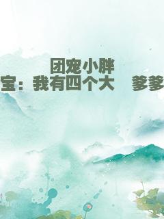 团宠小胖宝：我有四个大佬爹爹