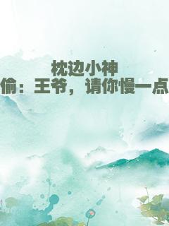枕边小神偷：王爷，请你慢一点