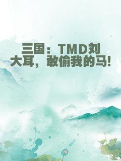 三国：TMD刘大耳，敢偷我的马！