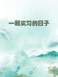 一起实习的日子