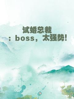 试婚总裁：boss，太强势！
