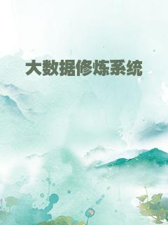 大数据修炼系统