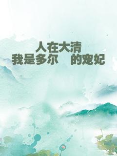 人在大清我是多尔衮的宠妃