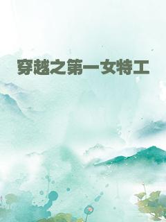 穿越之第一女特工
