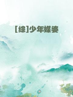[综]少年媒婆