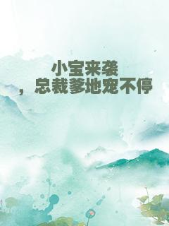 小宝来袭，总裁爹地宠不停