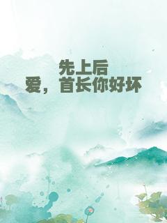 先上后爱，首长你好坏