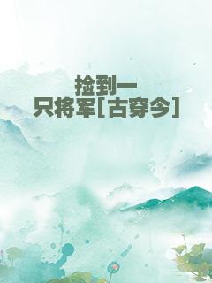 捡到一只将军[古穿今]