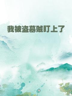 我被盗墓贼盯上了