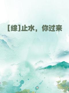 [综]止水，你过来