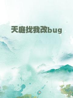 天庭找我改bug