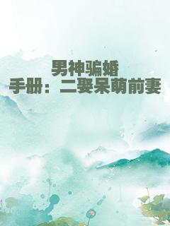 男神骗婚手册：二娶呆萌前妻