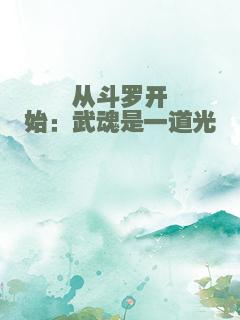 从斗罗开始：武魂是一道光