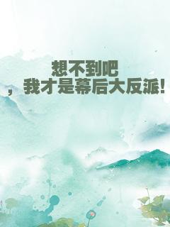 想不到吧，我才是幕后大反派！