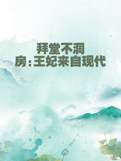 拜堂不洞房:王妃来自现代