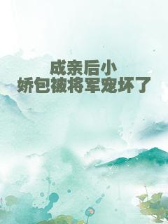 成亲后小娇包被将军宠坏了