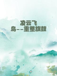 凌云飞鸟--重整旗鼓