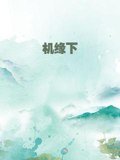 机缘下