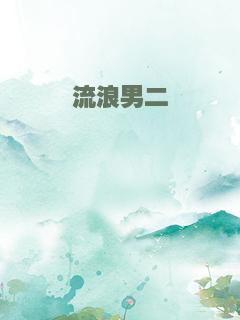 流浪男二