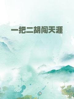 一把二胡闯天涯