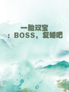 一胎双宝：BOSS，复婚吧