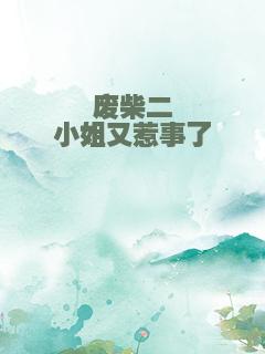 废柴二小姐又惹事了