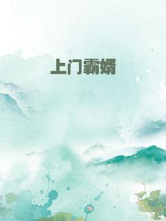 上门霸婿