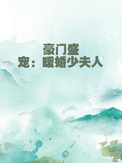 豪门盛宠：暖婚少夫人
