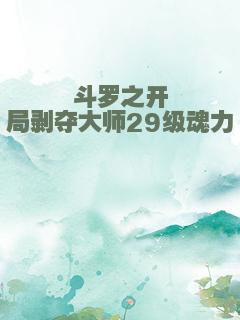 斗罗之开局剥夺大师29级魂力
