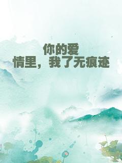 你的爱情里，我了无痕迹