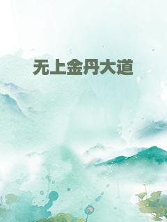 无上金丹大道