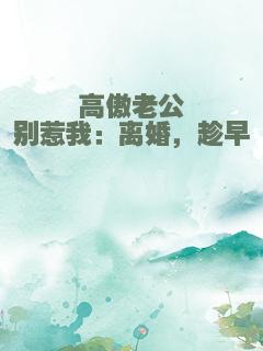 高傲老公别惹我：离婚，趁早