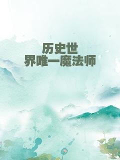 历史世界唯一魔法师